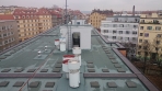 Jivenská